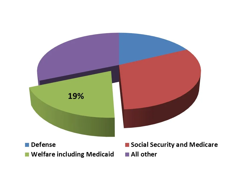 welfare budget in government expenditure